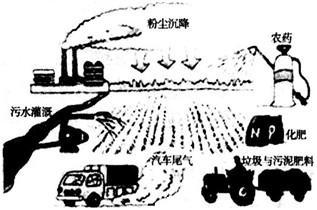 我國土壤污染總體形勢相當嚴峻.土壤深度酸化.鹽漬化.砷.汞.鉛.鎘等重金屬含量較大.農(nóng)藥等有機污染物殘留嚴重.這對農(nóng)業(yè)生產(chǎn)的可持續(xù)發(fā)展和人類健康安全造成了威脅.讀圖回答下列問題. (1)過量使用化肥