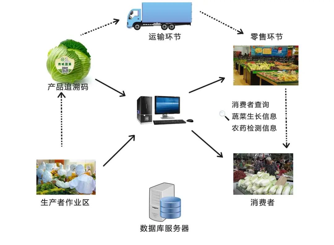 創新農產品供應鏈模式,推進農業高質量發展 - 騰來霧往