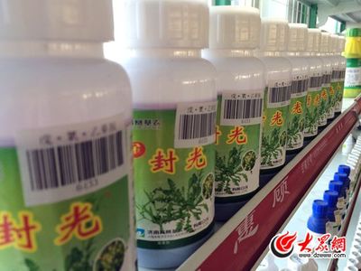 安丘模式:標準化打通農產品出口綠色通道