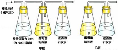 聯苯菊酯是一種除蟲菊酯類農藥.在土壤中難以被降解.易危害人體健康.某實驗小組從農藥廠廢水污泥中分離出能降解聯苯菊酯的菌株.請回答問題 在分離能降解聯苯菊酯的菌株前