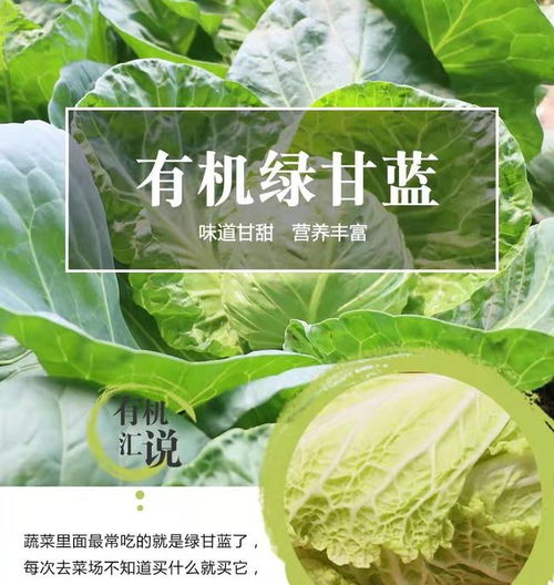 綠色食品零售 非農(nóng)藥更健康